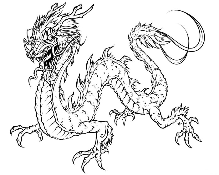 Dragon chinese pages kids colouring library clipart coloring