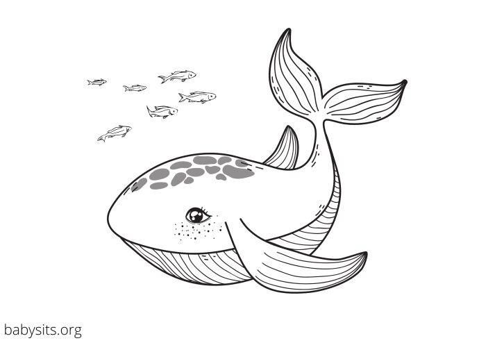 Ocean animals coloring pages printable