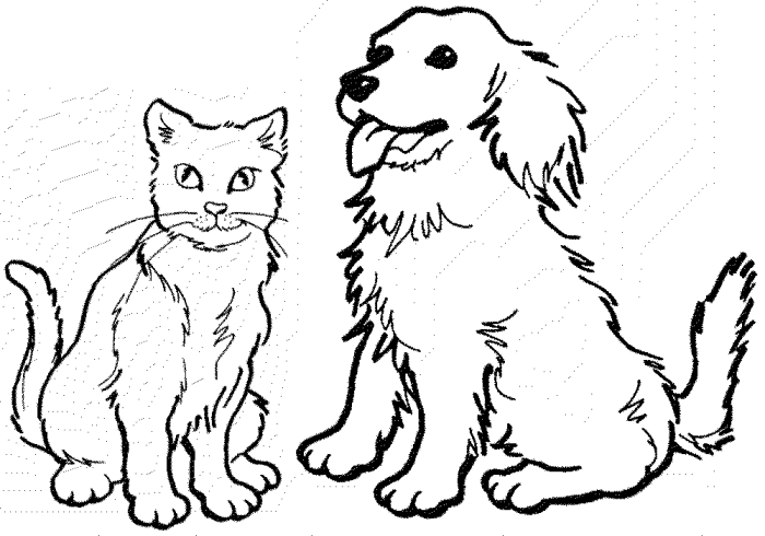 Animal coloring pages dog and cat