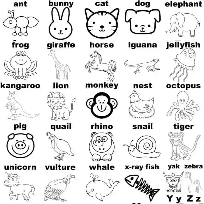 Coloring alphabet animal octopus pages printable comments books