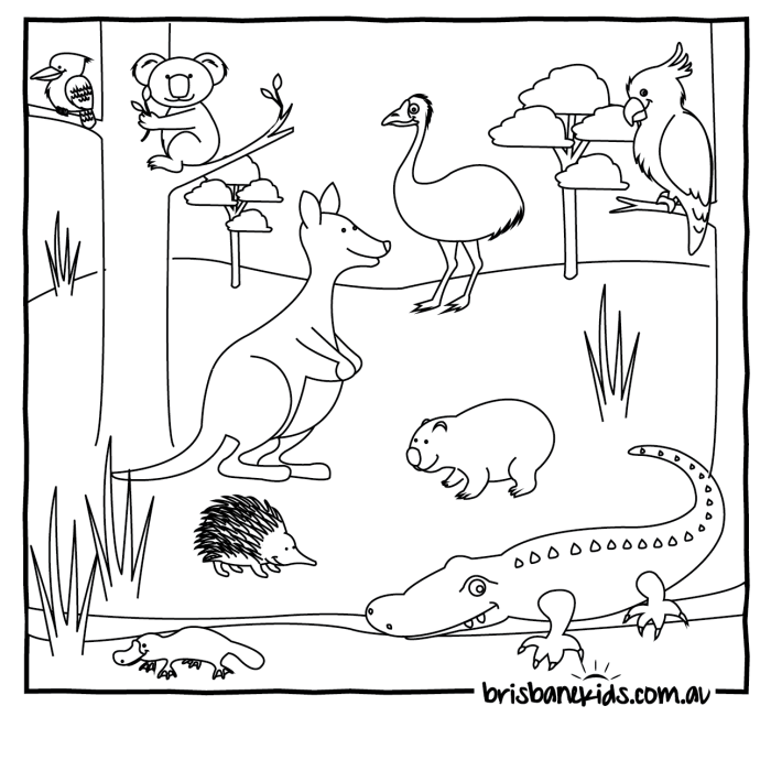 Australian animals coloring pages