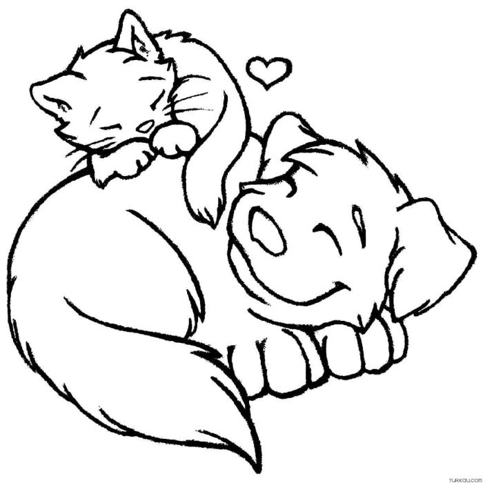 Animal coloring pages dog and cat