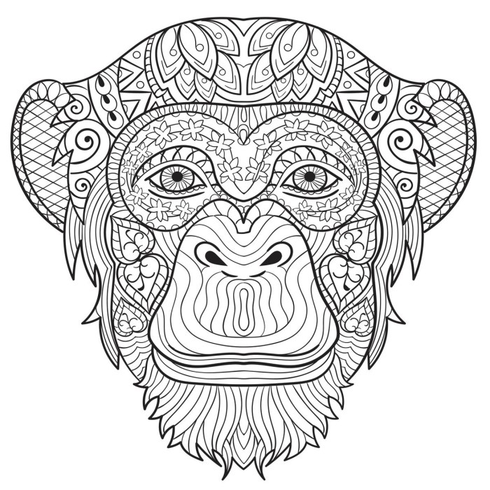 Exquisite animals coloring book by roket publeshing