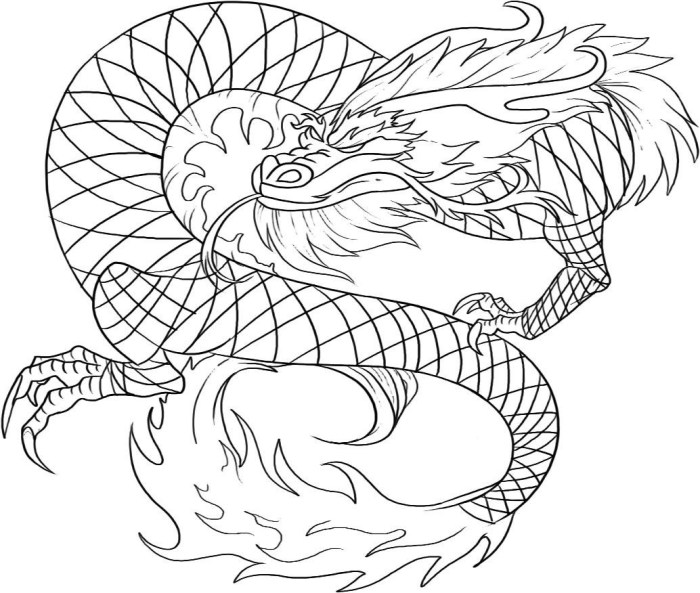 Chinese dragon coloring book