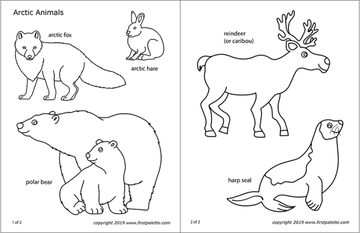 Arctic animals coloring sheets