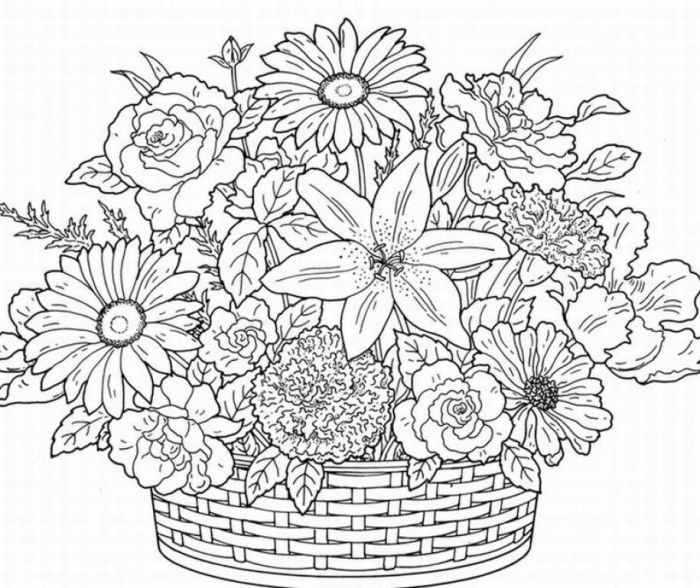 Coloring books for grown ups online