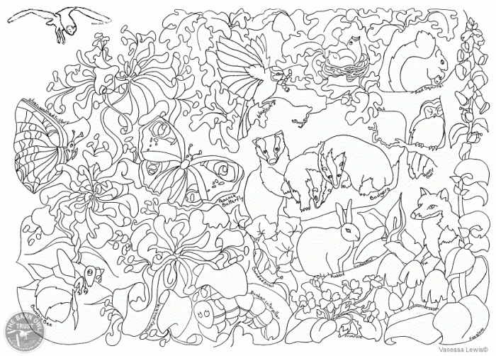 Flowers and animals coloring pages