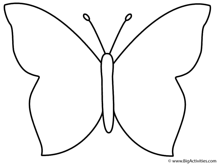 Butterfly coloring book images