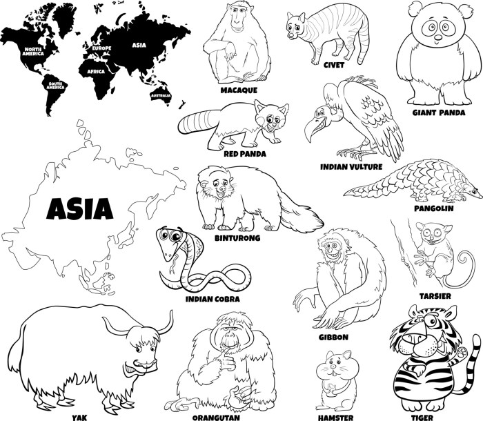 Coloring sheets for asia animals