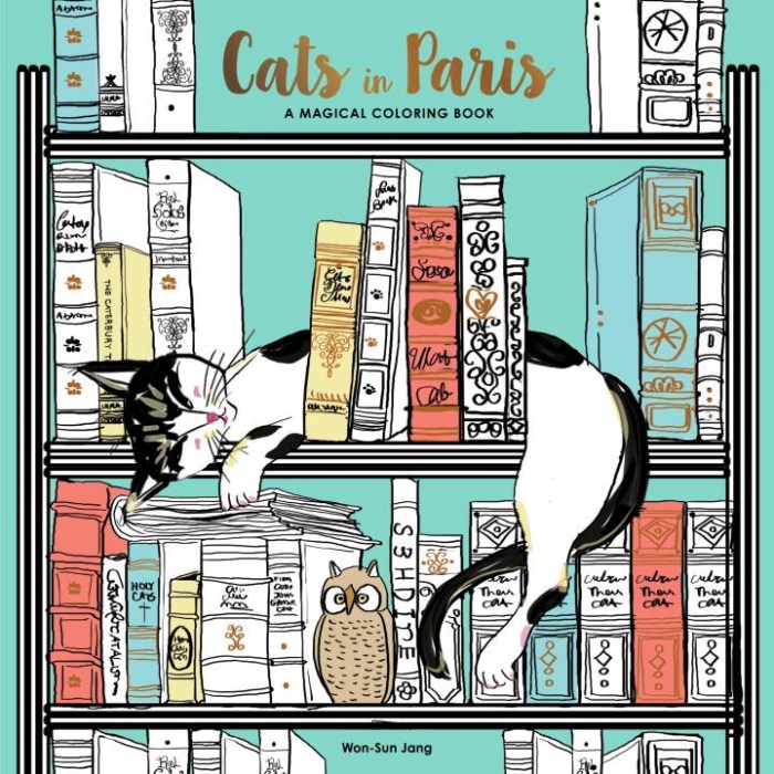 Cats in paris coloring book