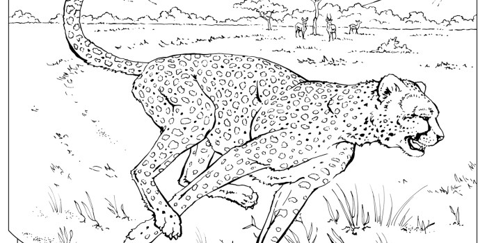 Coloring pages for kids wild animals