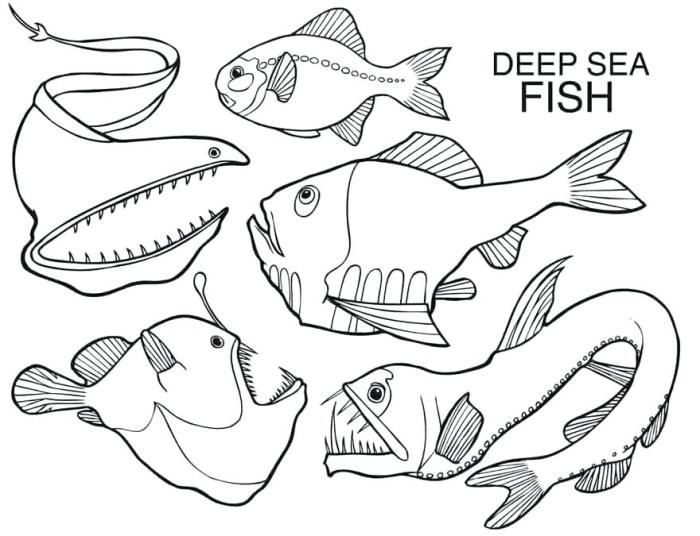 Deep sea animal coloring pages