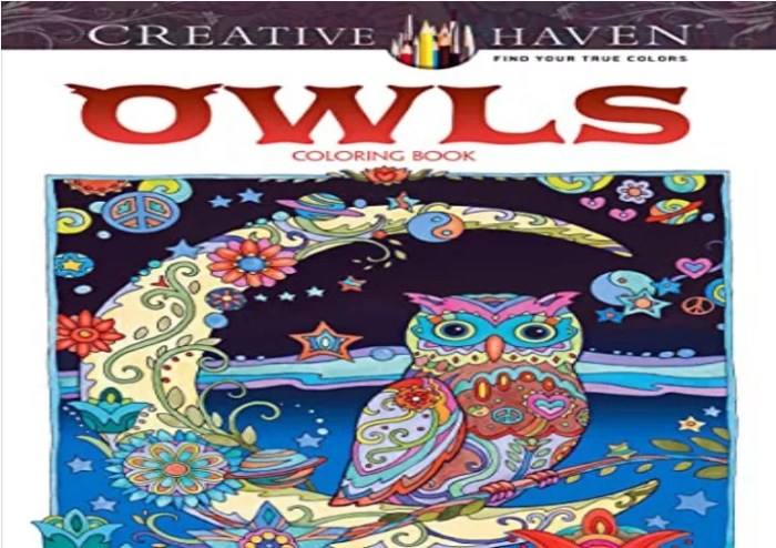 Creative haven owls coloring book