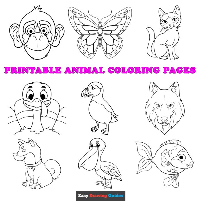 Free kids coloring sheets animals