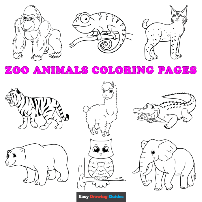 Free kids coloring sheets animals