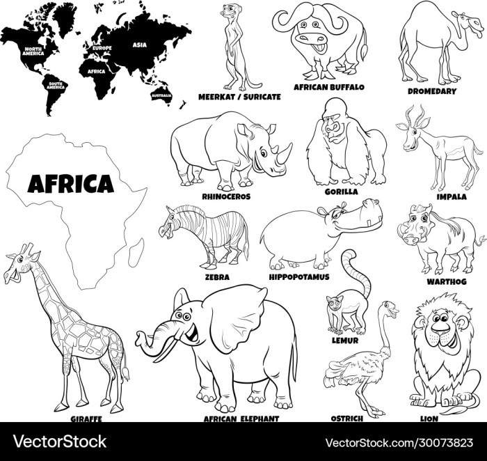 Coloring african animal sheet pages species savanna jungle animals scenery