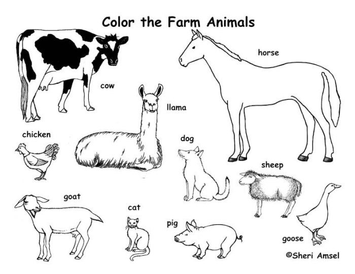 Farm animal coloring pages pdf