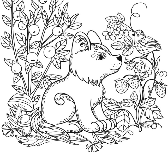 Animal coloring coloring pages