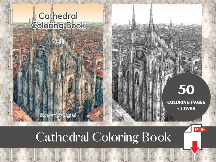 Cathedrals of the world coloring book