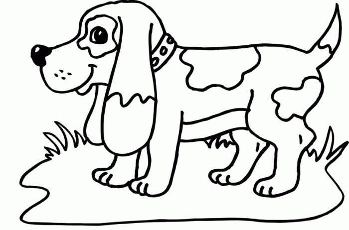 Dltk animal coloring page to print