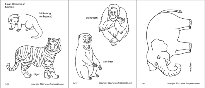 Coloring sheets for asia animals