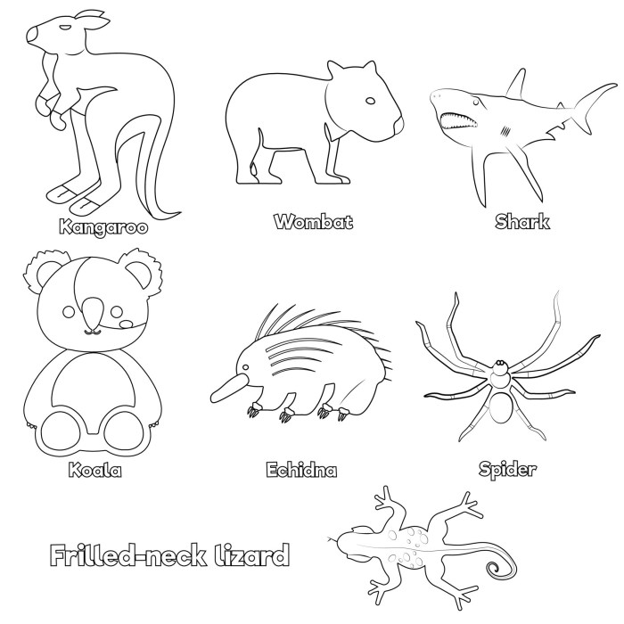 Australian animals coloring pages