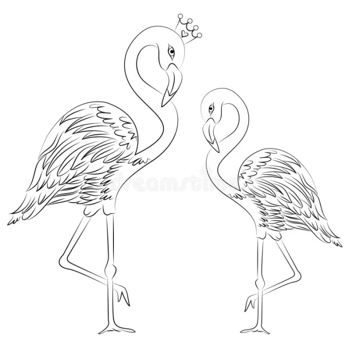 Easy flamingos animals coloring pages for kids