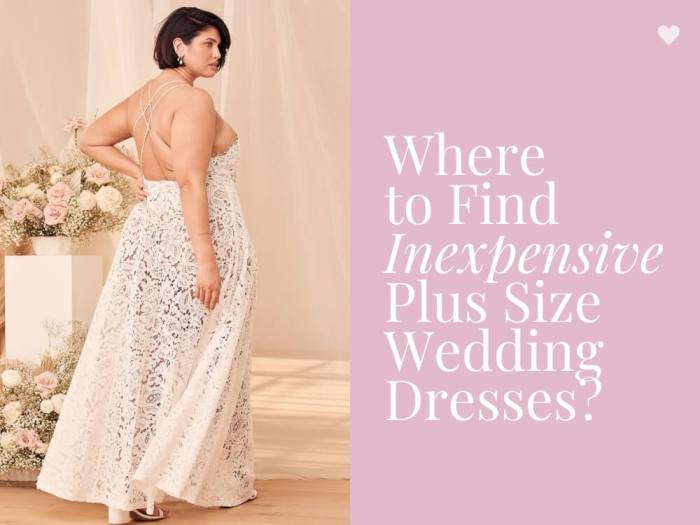 Cheap plus size wedding dress