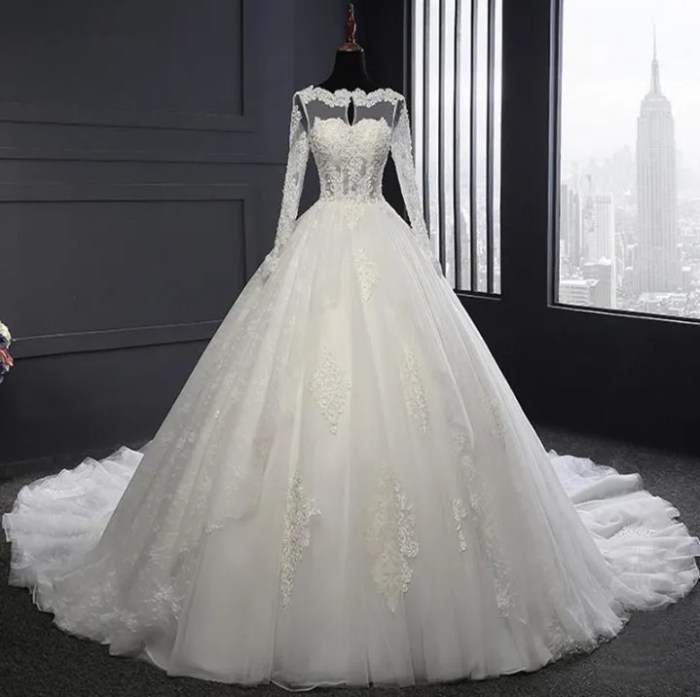 Biggest ball gown wedding dresses